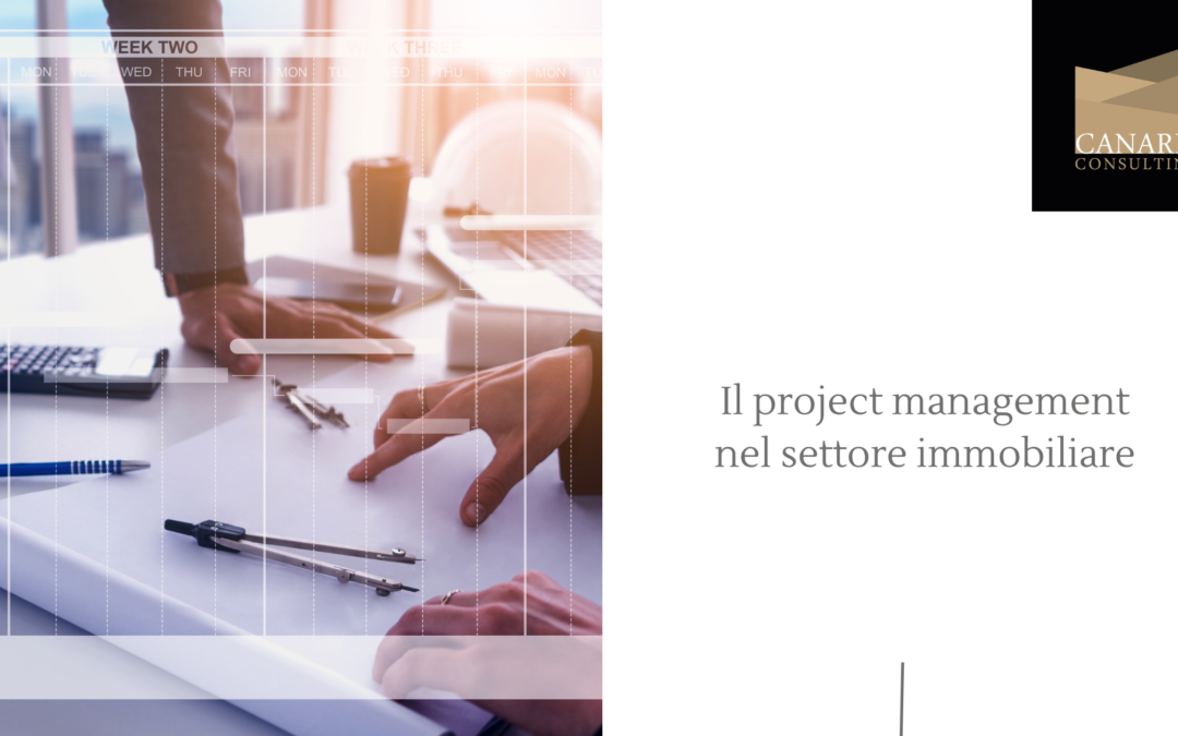 project manager immobiliare